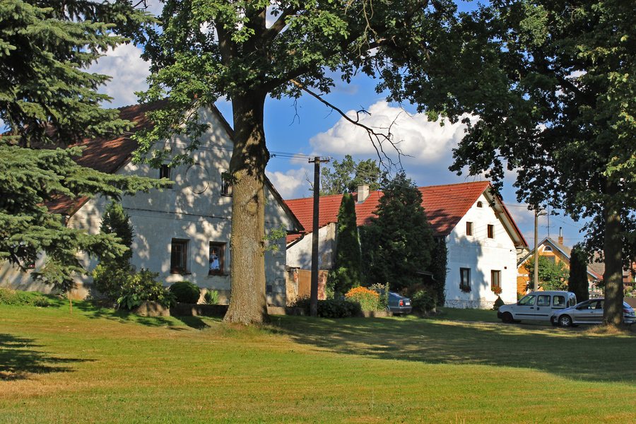 File:Člunek, common 2.jpg