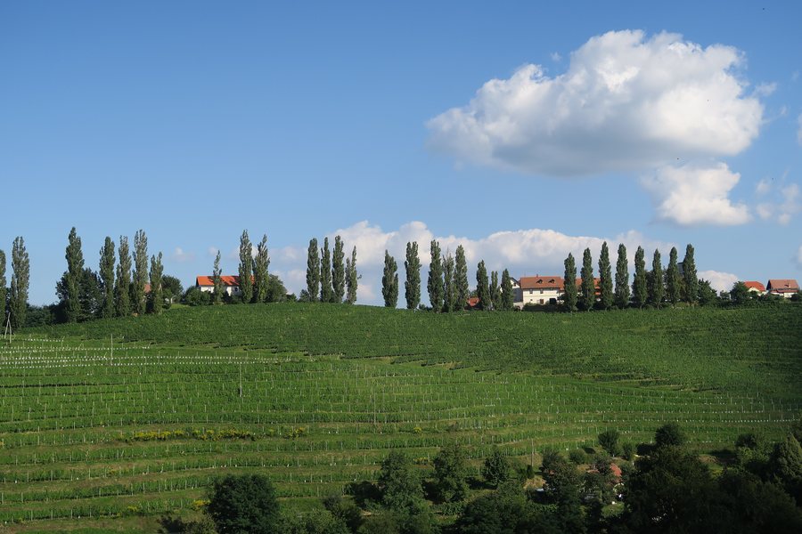 File:Jeruzalem Slo Ljutomer.JPG