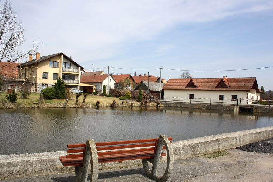 File:Pavlínov, common pond. 2.jpg