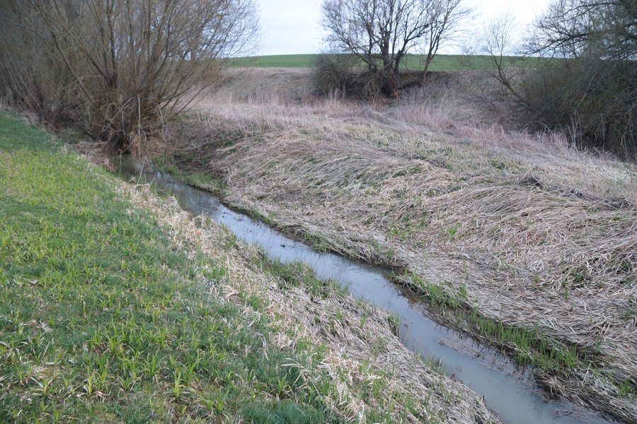 File:Overview of Strážovský potok near Chotěbudice, Třebíč District.jpg
