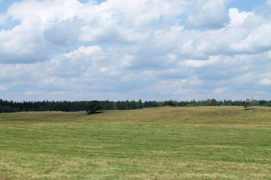 File:Rapšach, Nová Ves u Klikova (2022-07-06; 01).jpg