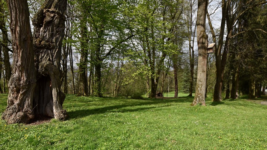File:Babica, park dworski (HB6).jpg