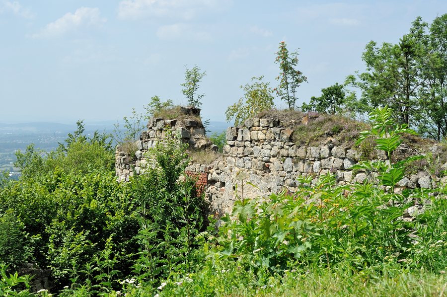 Kamieniec Castle in Odrzykoń