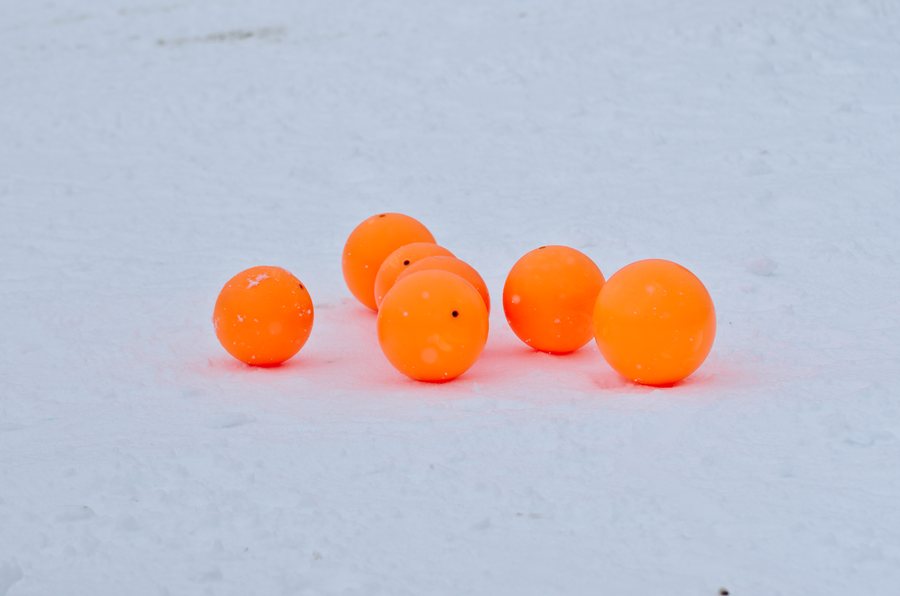 30th St. Moritz Polo World Cup on Snow - 20140201 - Balles