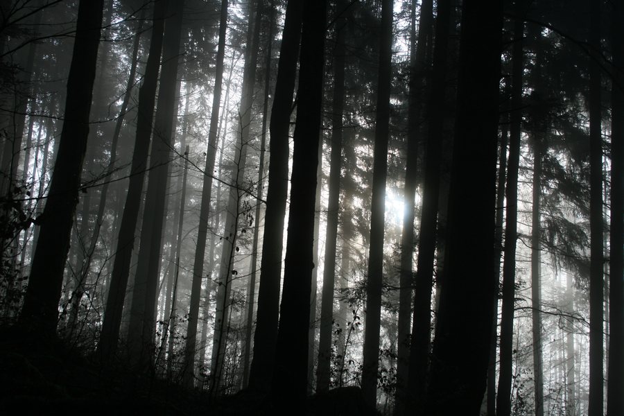 File:Jura bei Le Fuet.jpg