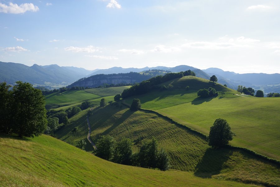 Naturpark Thal im Sommer