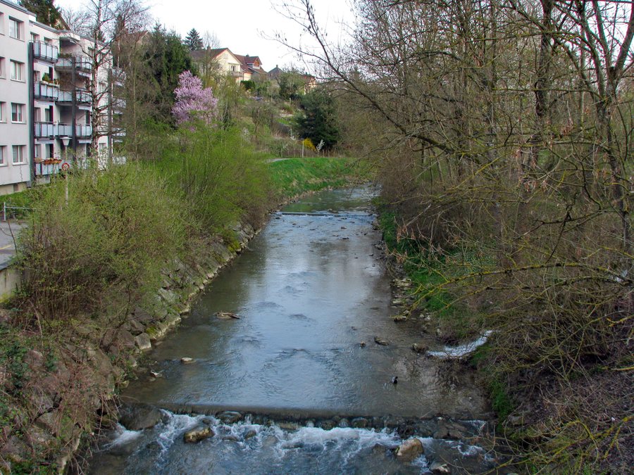 File:Dietikon - Reppisch IMG 6132.JPG