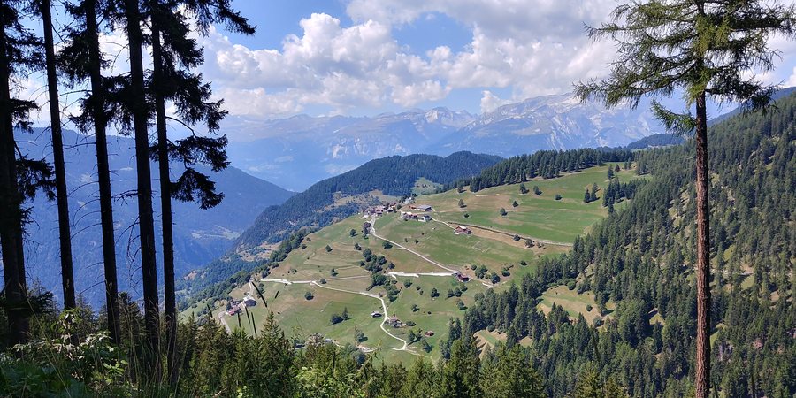 File:Trans20220812 151122 HDR.jpg