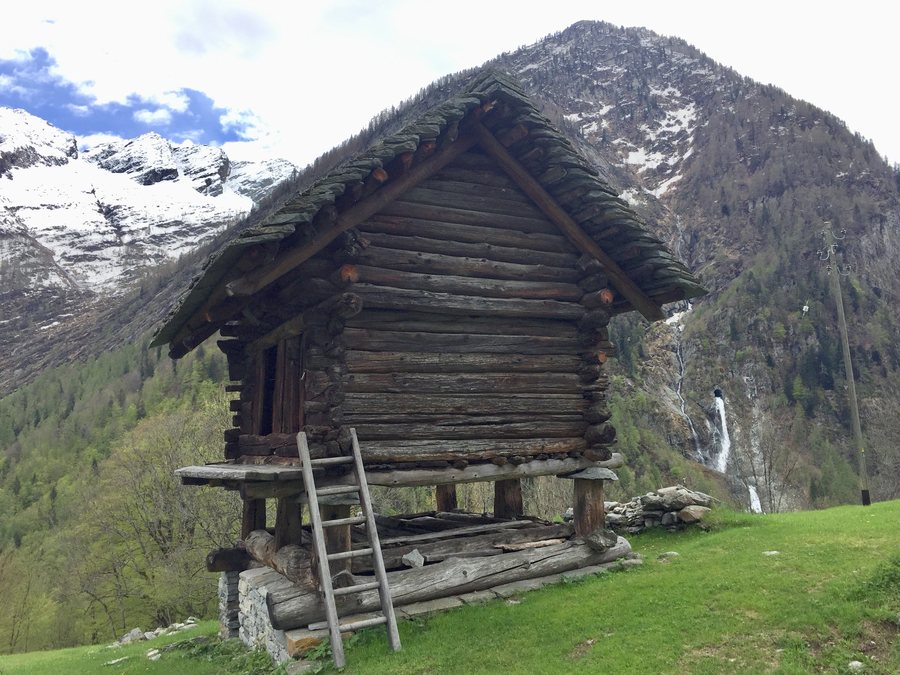 Torba di Sartüü località Piano Campo Vallemaggia