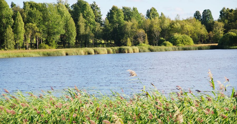 File:Släpesjön Sandhem Mullsjö kommun 02.jpg
