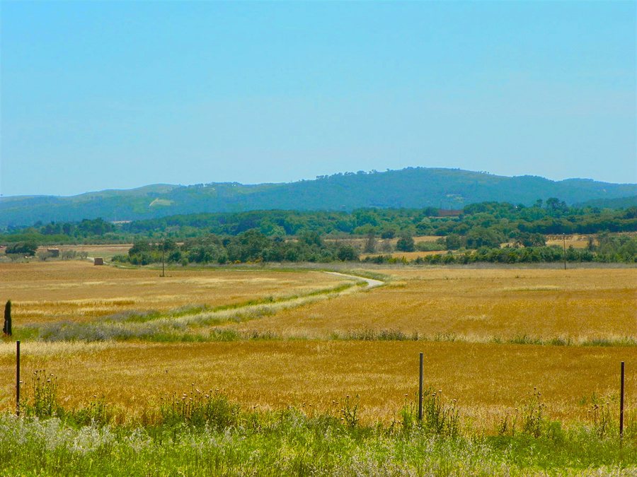 File:Camps de l'Empordà des de Sant Tomàs de Fluvià - panoramio.jpg