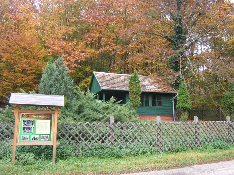 File:Zselickisfalud, enyezdi barakk.jpg