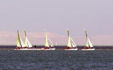 Segeltörns und Ferienwohnungen in Travemünde