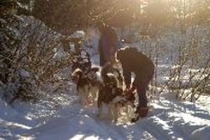 Husky Schlitten am Wilden Kaiser in Tirol