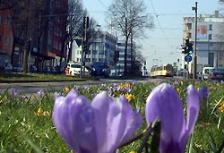 Ostern: Urlaub im Ferienhaus